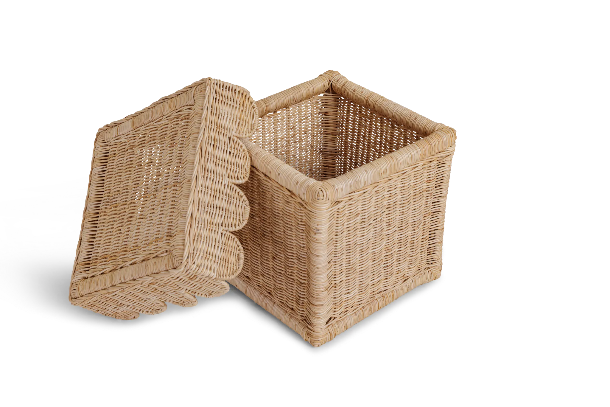 Scallop Storage Bin With Lid